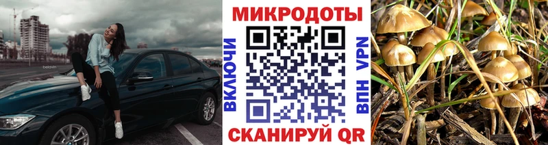 Псилоцибиновые грибы MAGIC MUSHROOMS  Кодинск 